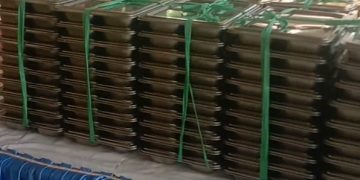 Kurang lebih 3000 Siswa Makan Makanan Busuk BGN Makanan Gratis Di Manado Sulawesi Utara