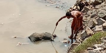Seorang Perempuan Tua Tenggelam Di Bengawan Solo Desa Lebaksari Kecamatan Baureno.