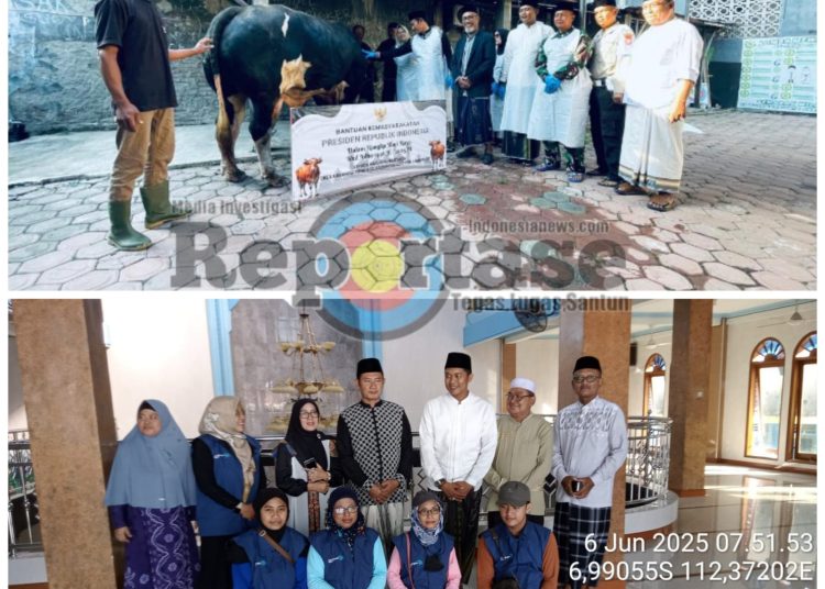 Bapak Presiden RI Prabowo Subianto Berkurban Sapi Di Desa Karanggeneng