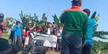 Petani Widang-Plumpang Jebol Tanggul Waduk Jabung, Ribuan Hektar Sawah Terendam