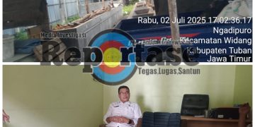 Program Siluman Desa Ngadipuro, Widang Bantuan 60 Ekor Sapi Raib