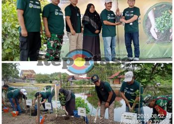 PNM Hijaukan Indonesia Tanam 1000 Pohon Mangga