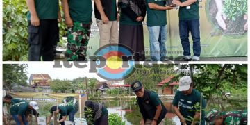 PNM Hijaukan Indonesia Tanam 1000 Pohon Mangga