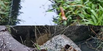 Warga Desa Rahayu Soko Tuban Resah Karena Diduga Adanya Kebocoran Limbah PT PHE