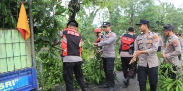 Hujan Deras Disertai Angin Puting Beliung Melanda Dua Desa di Kecamatan Singgahan Tuban