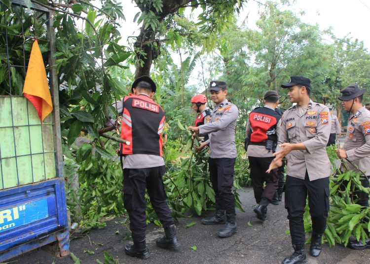 Hujan Deras Disertai Angin Puting Beliung Melanda Dua Desa di Kecamatan Singgahan Tuban