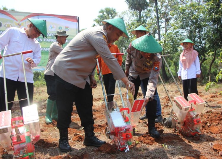 Upaya Dukung Swasembada Pangan Nasional Polres Tuban Laksanakan Giat Tanam Jagung Kuartal lV Tahun 2025