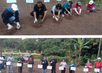 Louncing Penanaman Cabai Dan Tomat Untuk Menunjang Program Pemerintah Kota Manado Bidang Ketahanan Pangan.