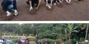 Louncing Penanaman Cabai Dan Tomat Untuk Menunjang Program Pemerintah Kota Manado Bidang Ketahanan Pangan.