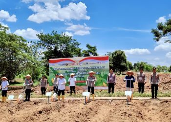 Kolaborasi Wujudkan Ketahanan Pangan Melalui Program Penanaman Jagung