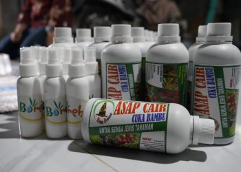 Dukung Ketahanan Pangan Nasional, PTBA Sosialisasikan Pemanfaatan Cuka Bambu untuk Komoditas Padi dan Jagung