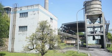 PTBA Perkuat Langkah Menuju Energi Bersih Lewat Uji Coba Co-Firing Wood Pellet di PLTU Tanjung Enim