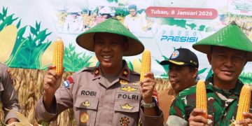 Polres Tuban Kembali Gelar Kegiatan Panen Raya Jagung Kuartal lV Tahun 2025
