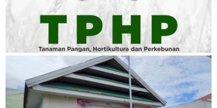 Bantuan OPLAH 2025 “,10 M,” Disandra DISTAN, Kelompok Tani Diduga Jadi Budak, Proyek Terbengkalai Di Awampone Kabupaten Bone.