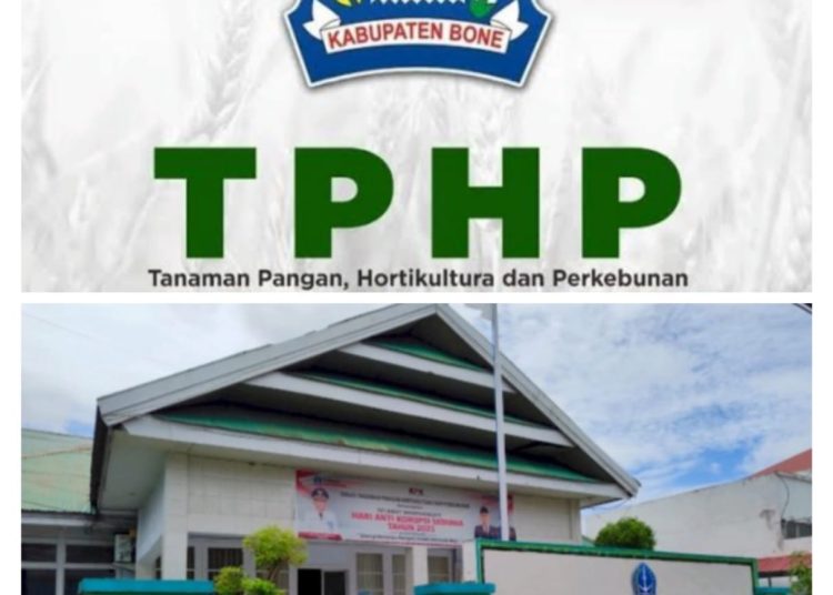 Bantuan OPLAH 2025 “,10 M,” Disandra DISTAN, Kelompok Tani Diduga Jadi Budak, Proyek Terbengkalai Di Awampone Kabupaten Bone.
