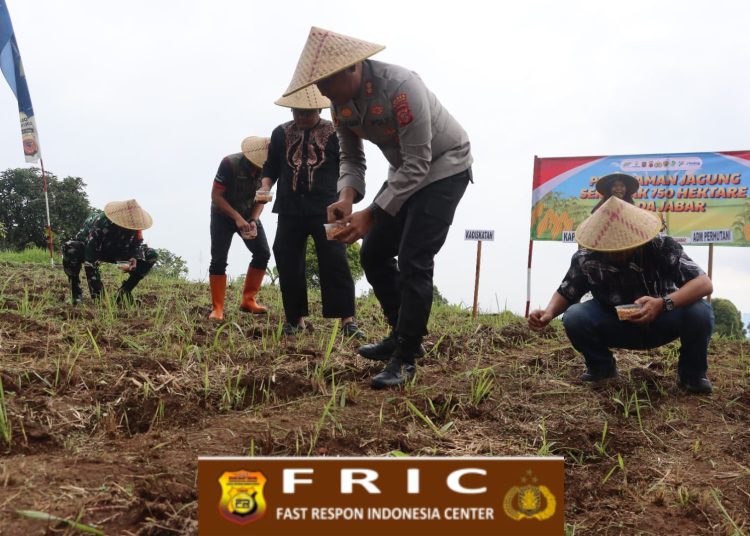 *Perkuat Ketahanan Pangan, Kapolres Kuningan Pimpin Penanaman Jagung Serentak Kuartal I di Desa Gunung Keling*