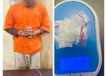 *Polsek Salapian Ungkap Kasus Peredaran Narkotika di Desa Turangi, Satu Pelaku Diamankan*