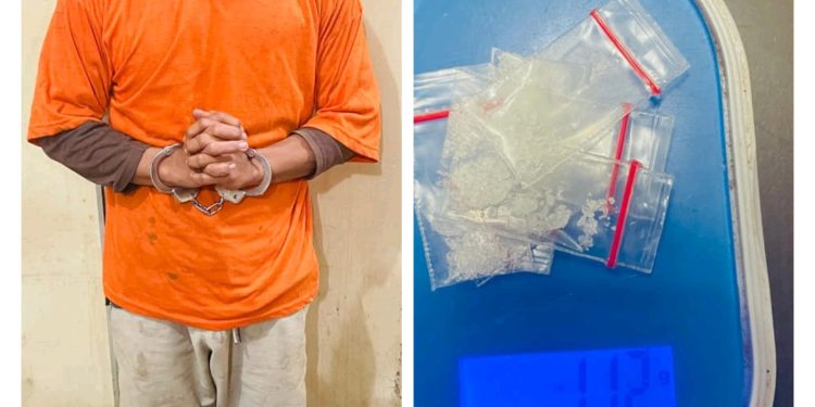 *Polsek Salapian Ungkap Kasus Peredaran Narkotika di Desa Turangi, Satu Pelaku Diamankan*