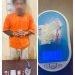 *Polsek Salapian Ungkap Kasus Peredaran Narkotika di Desa Turangi, Satu Pelaku Diamankan*