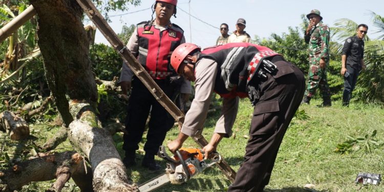 Polres Tuban Bersama BPBD Turunkan Personil Tuk Bantu Masyarakat Desa Tegalrejo Widang Yang Terdampak Angin Puting Beliung
