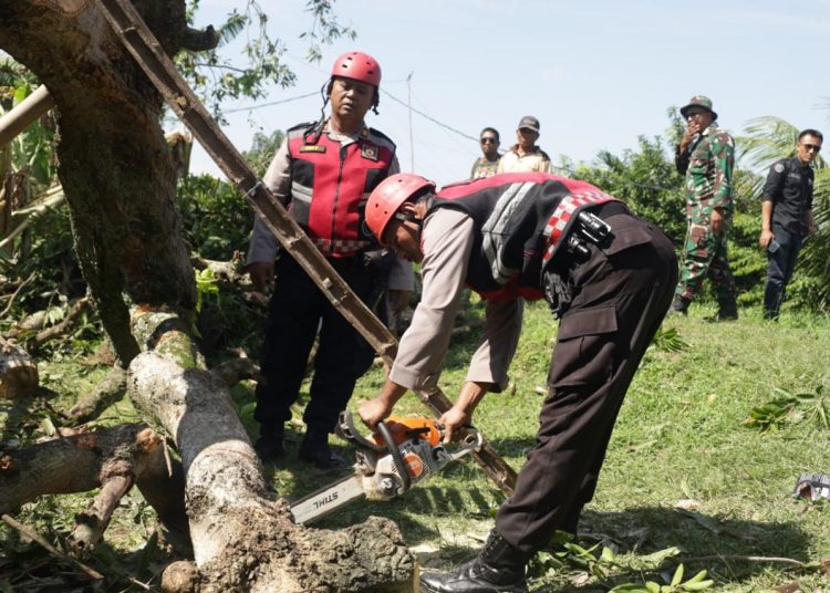 Polres Tuban Bersama BPBD Turunkan Personil Tuk Bantu Masyarakat Desa Tegalrejo Widang Yang Terdampak Angin Puting Beliung