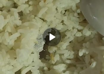 Polemik Ulat dalam Nasi MBG SMP Negeri 1 Sembawa, Siswa Mengakui, Sekolah Membantah