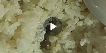 Polemik Ulat dalam Nasi MBG SMP Negeri 1 Sembawa, Siswa Mengakui, Sekolah Membantah