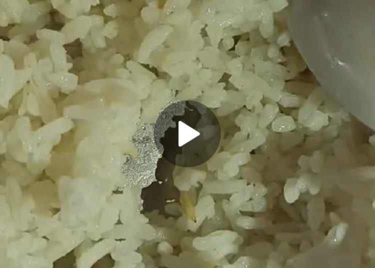 Polemik Ulat dalam Nasi MBG SMP Negeri 1 Sembawa, Siswa Mengakui, Sekolah Membantah