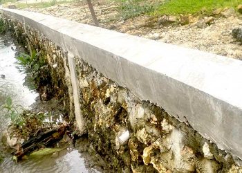 Bangunan TPT Dengan Dana Desa (DD) Desa Sidomlangehan Diduga Pengerjaanya Amburadul Asal Jadi