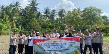Wujudkan Swasembada Pangan Nasional , Polsek Samaturu Tanam Jagung