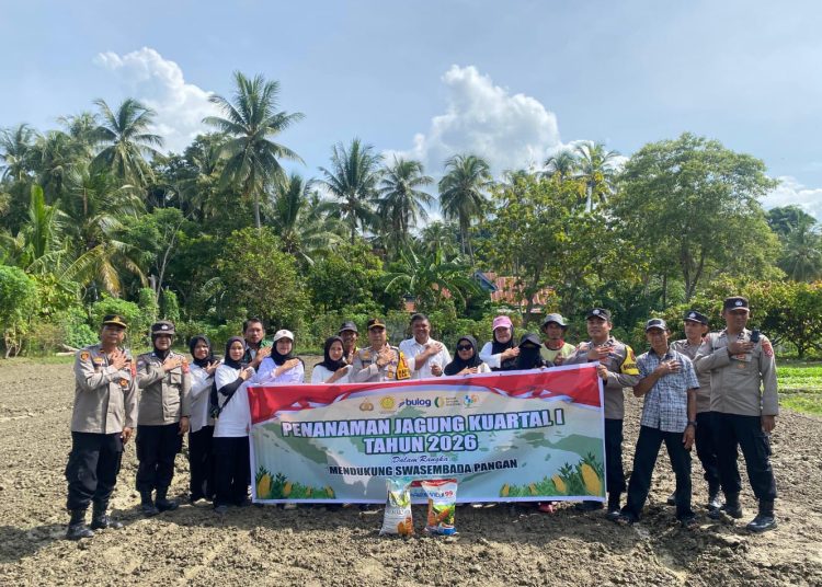 Wujudkan Swasembada Pangan Nasional , Polsek Samaturu Tanam Jagung