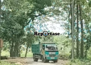 Diduga Proyek Pembangunan KDMP Gunakan tanah Uruk Dari Galian C Ilegal Dari Lokasi Desa Mulyorejo Kecamatan Singgahan Kabupaten Tuban.