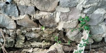 Dugaan Pembangunan RPH Asal Jadi Kota Madiun Menjadi Perbincangan Hangat