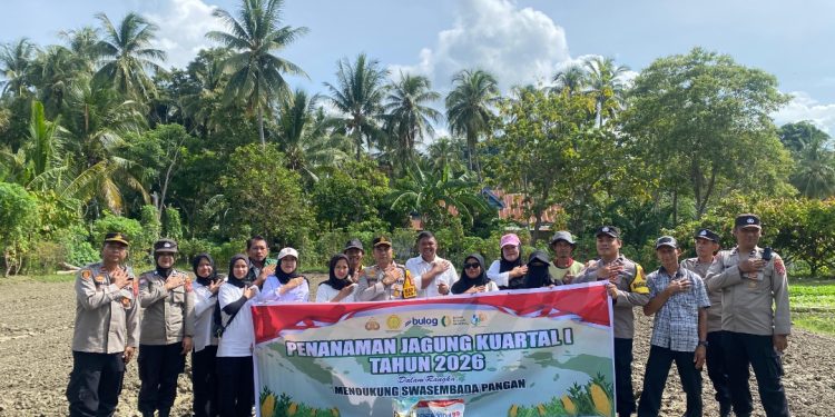 Wujudkan Swasembada Pangan Nasional , Polsek Samaturu Tanam Jagung