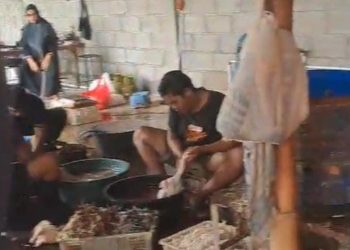 Dugaan Pembiaran Aktivitas Pemotongan Bebek Ilegal, Warga Kanigaran Probolinggo Mengaku Laporan Diabaikan