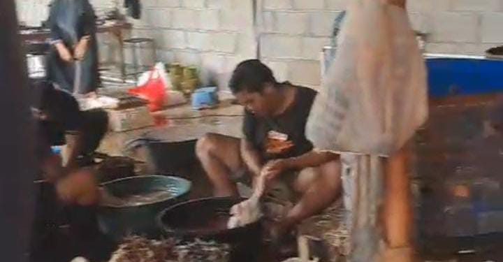 Dugaan Pembiaran Aktivitas Pemotongan Bebek Ilegal, Warga Kanigaran Probolinggo Mengaku Laporan Diabaikan