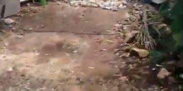 Di Duga Telah Terjadi Pembiaran Oleh Satpol-PP Kabupaten Tuban, Bangunan Tower Telekomunikasi Tak Berizin Di Desa Ngandong, Kecamatan Grabakan, Abaikan Penyegelan Sebanyak 3 Kali.