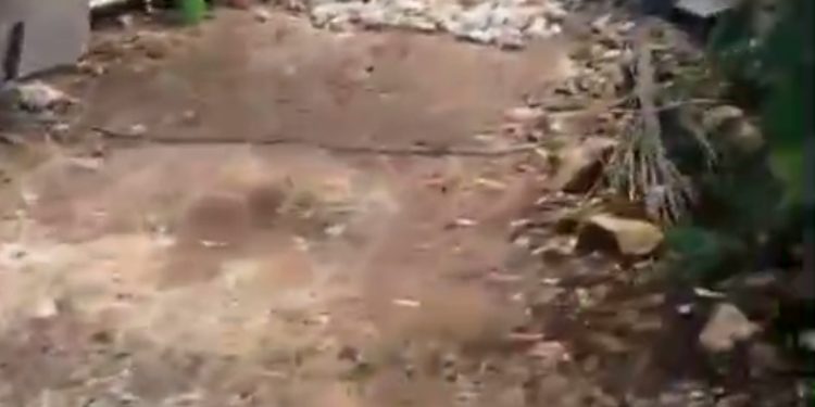 Di Duga Telah Terjadi Pembiaran Oleh Satpol-PP Kabupaten Tuban, Bangunan Tower Telekomunikasi Tak Berizin Di Desa Ngandong, Kecamatan Grabakan, Abaikan Penyegelan Sebanyak 3 Kali.