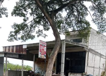 Bau Limbah Menyengat Warga Mengeluh Usaha UMKM Sepi