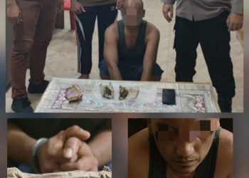 Polsek Gebang Ungkap Peredaran Ganja Dalam Operasi Antik Toba 2026, Satu Pelaku Diamankan