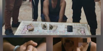 Polsek Gebang Ungkap Peredaran Ganja Dalam Operasi Antik Toba 2026, Satu Pelaku Diamankan