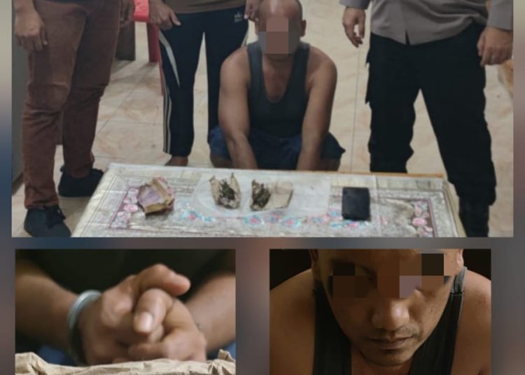 Polsek Gebang Ungkap Peredaran Ganja Dalam Operasi Antik Toba 2026, Satu Pelaku Diamankan