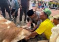 Kapolres Langkat Pimpin Penyembelihan Hewan Qurban, Wujud Kepedulian Polri kepada Masyarakat