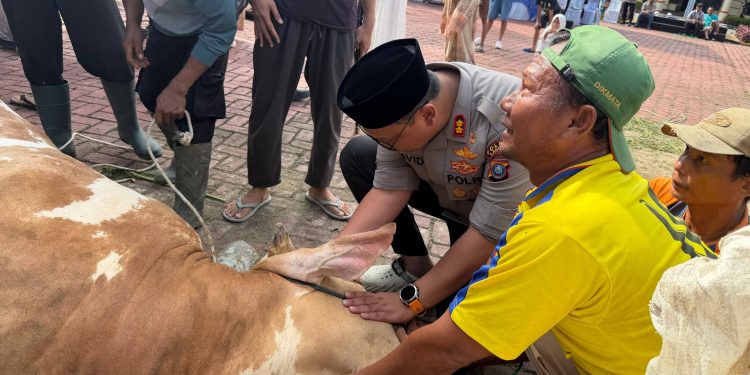 Kapolres Langkat Pimpin Penyembelihan Hewan Qurban, Wujud Kepedulian Polri kepada Masyarakat