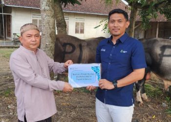 Wujud Sinergi BUMN–Pesantren: Mansyaul Huda 02 Terima dan Salurkan 4 Ekor Sapi Kurban