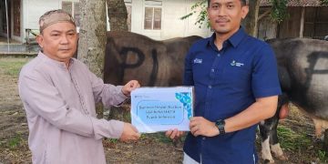 Wujud Sinergi BUMN–Pesantren: Mansyaul Huda 02 Terima dan Salurkan 4 Ekor Sapi Kurban