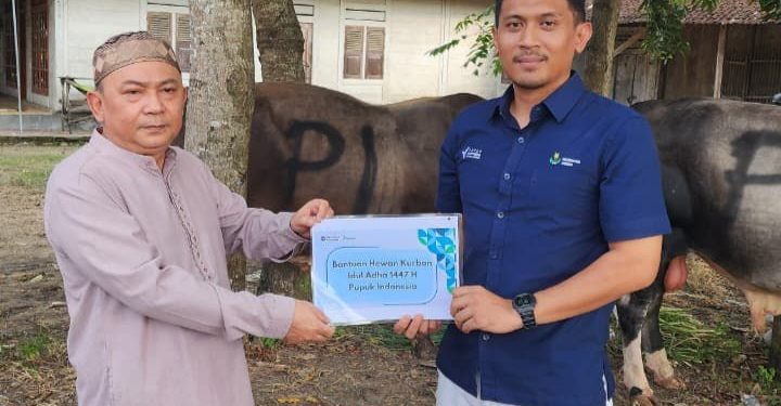 Wujud Sinergi BUMN–Pesantren: Mansyaul Huda 02 Terima dan Salurkan 4 Ekor Sapi Kurban