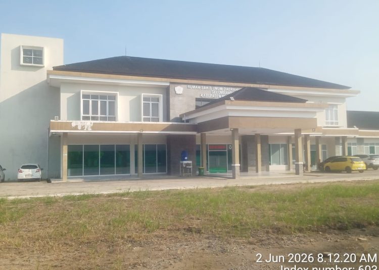 RSUD Gelumbang Diduga Tolak Pasutri Korban Lakalantas, Staff: Ada Yang Lebih Urgent!