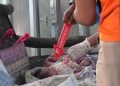 Bayi Laki-Laki Ditemukan Meninggal Dunia di Dalam Tas di Warung Desa Rengel