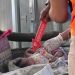 Bayi Laki-Laki Ditemukan Meninggal Dunia di Dalam Tas di Warung Desa Rengel